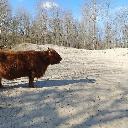 House Rodine - Free Parking & Bikes * Haag