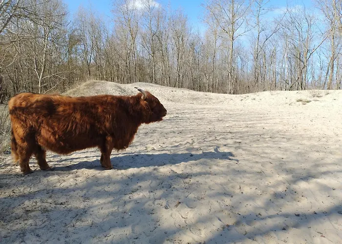 House Rodine - Free Parking & Bikes * Гаага